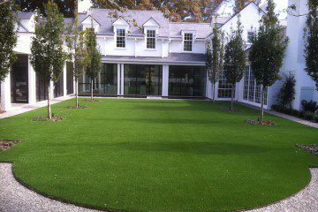 Lawn (Sod and Synthetic Grass)